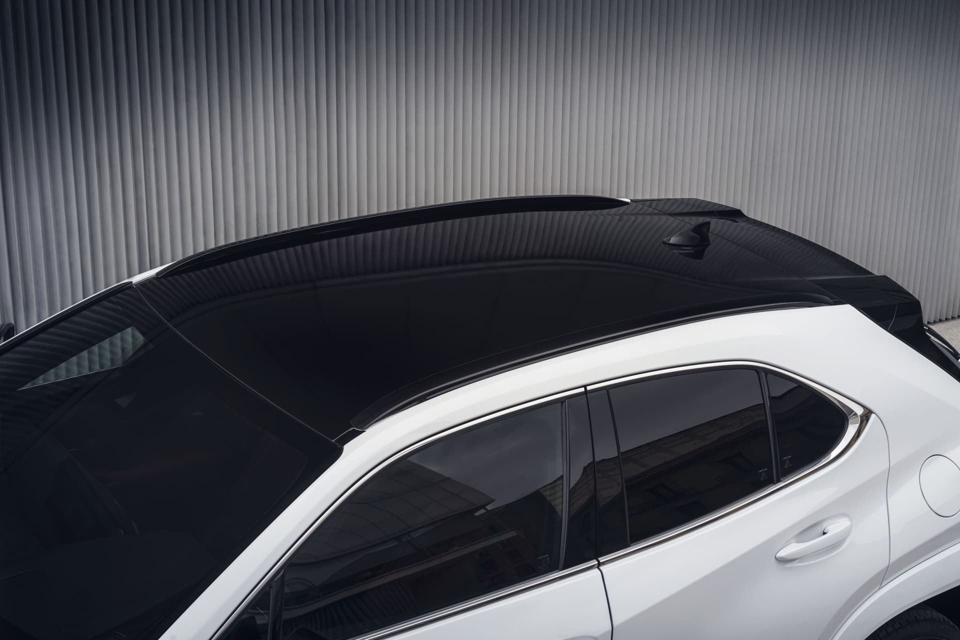 Lexus Ux 250h 2023 11 Exterior Techo