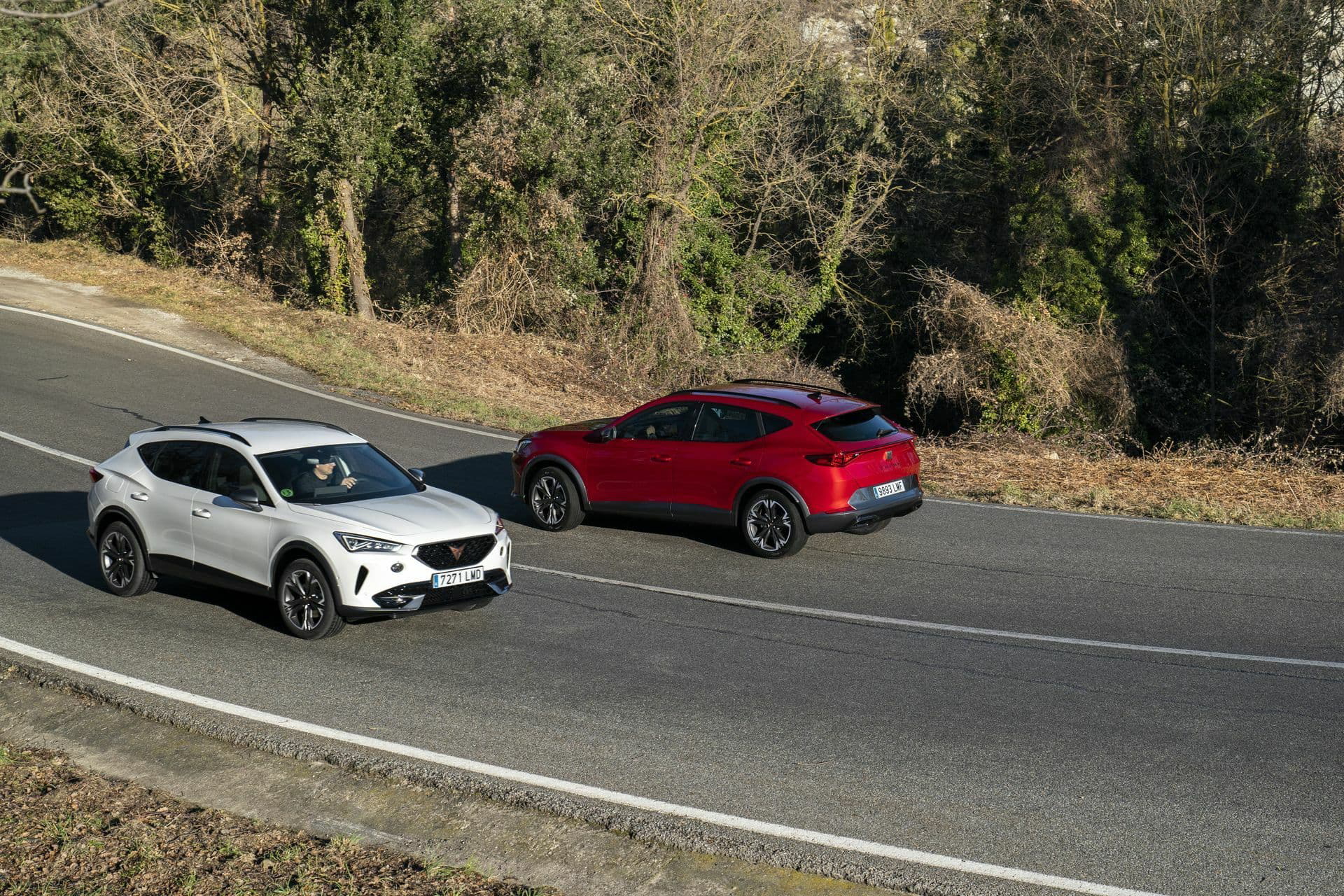 Cupra Formentor 190 Tsi Prueba 19