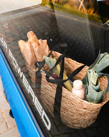 Solar City Squad Car 66