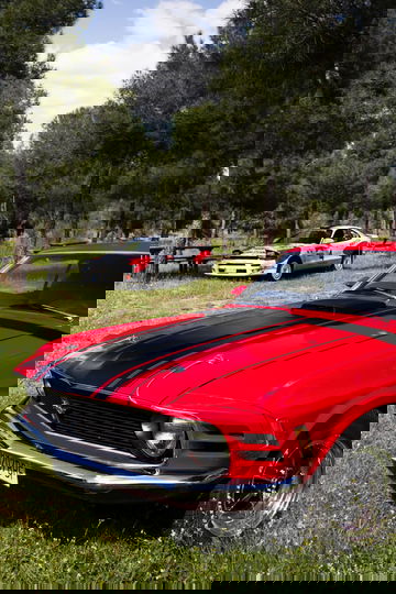 Autopia 13