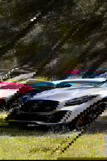 Autopia 14