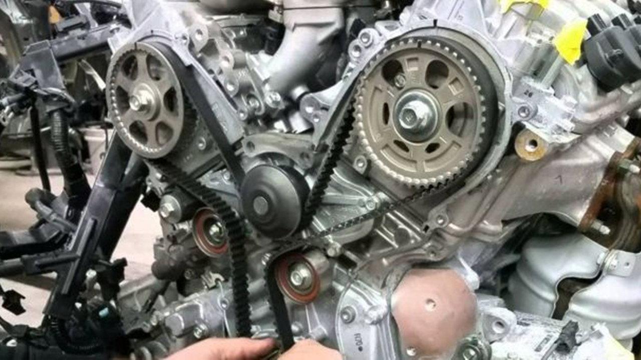 Correa De Distribucion Correa De Distribucion