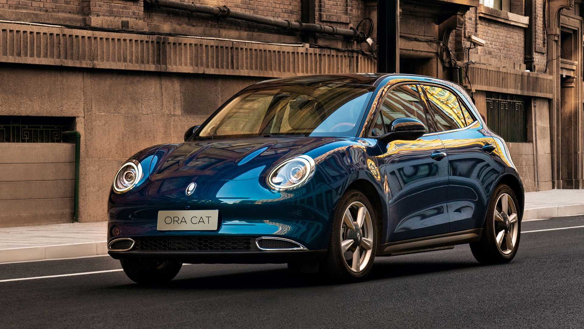 Ora Funky Cat Informacion 2