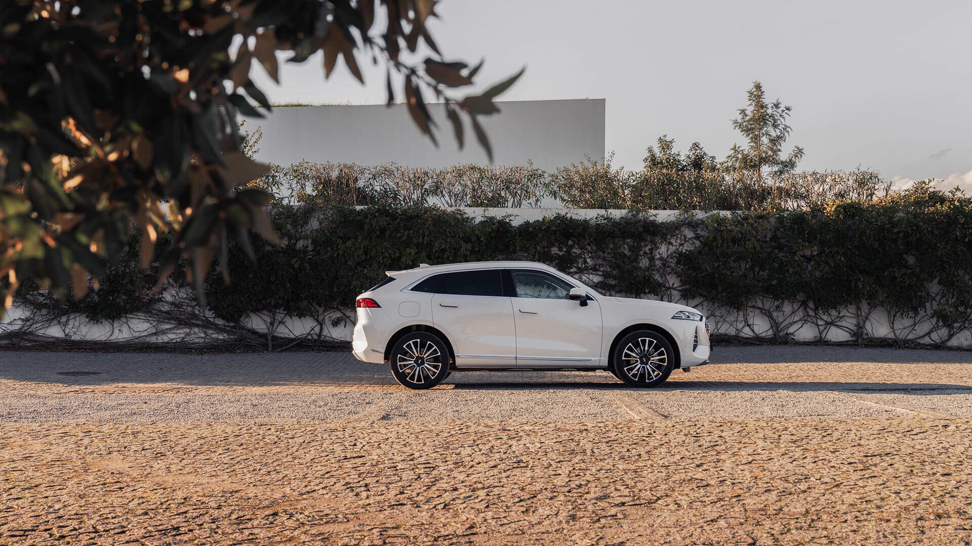 Wey Coffee 01 Blanco Exterior 12