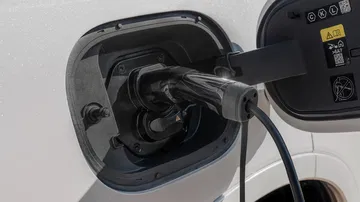 Wey Coffee 01 Blanco Exterior 23