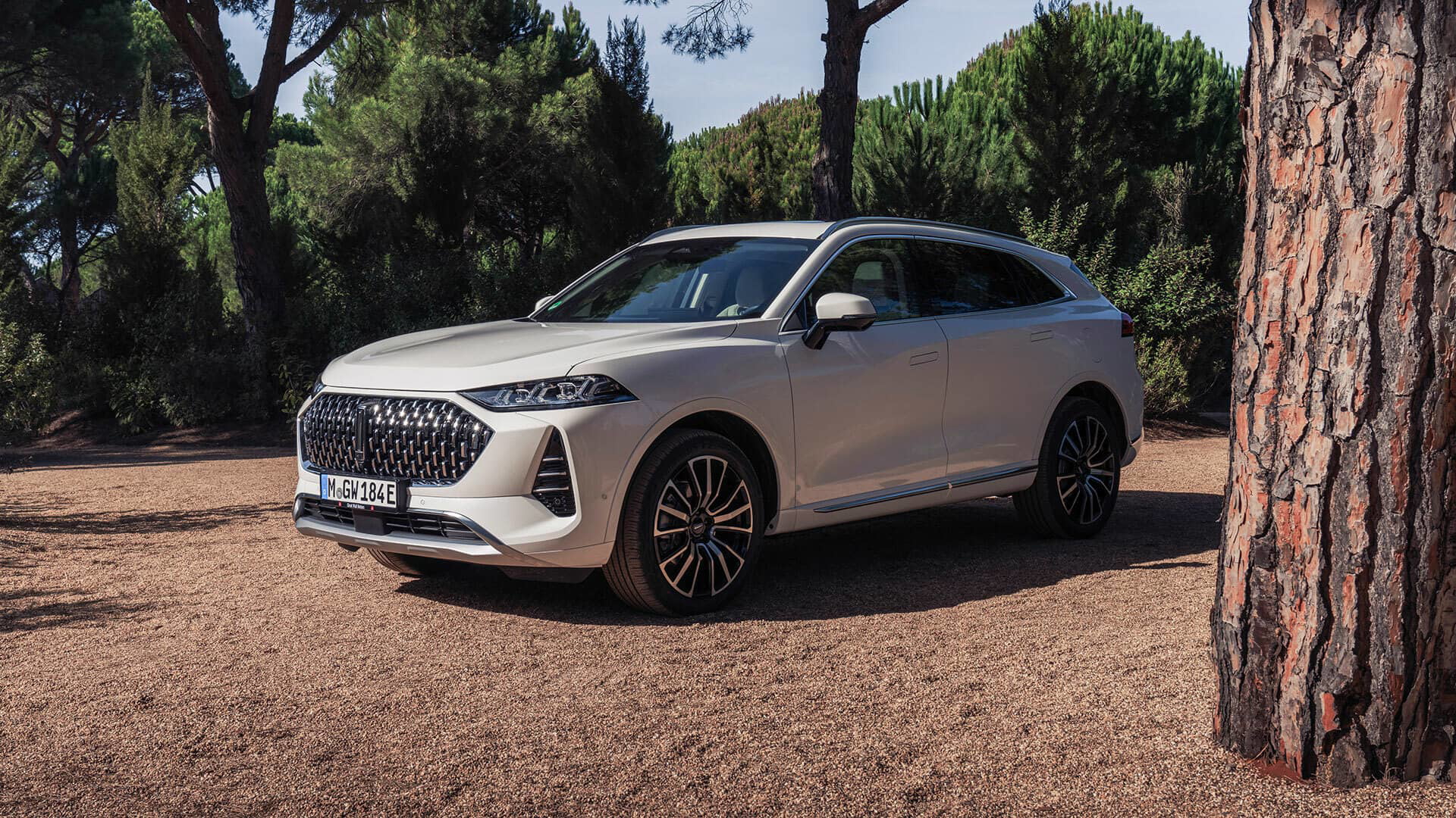 Wey Coffee 01 Blanco Exterior 25