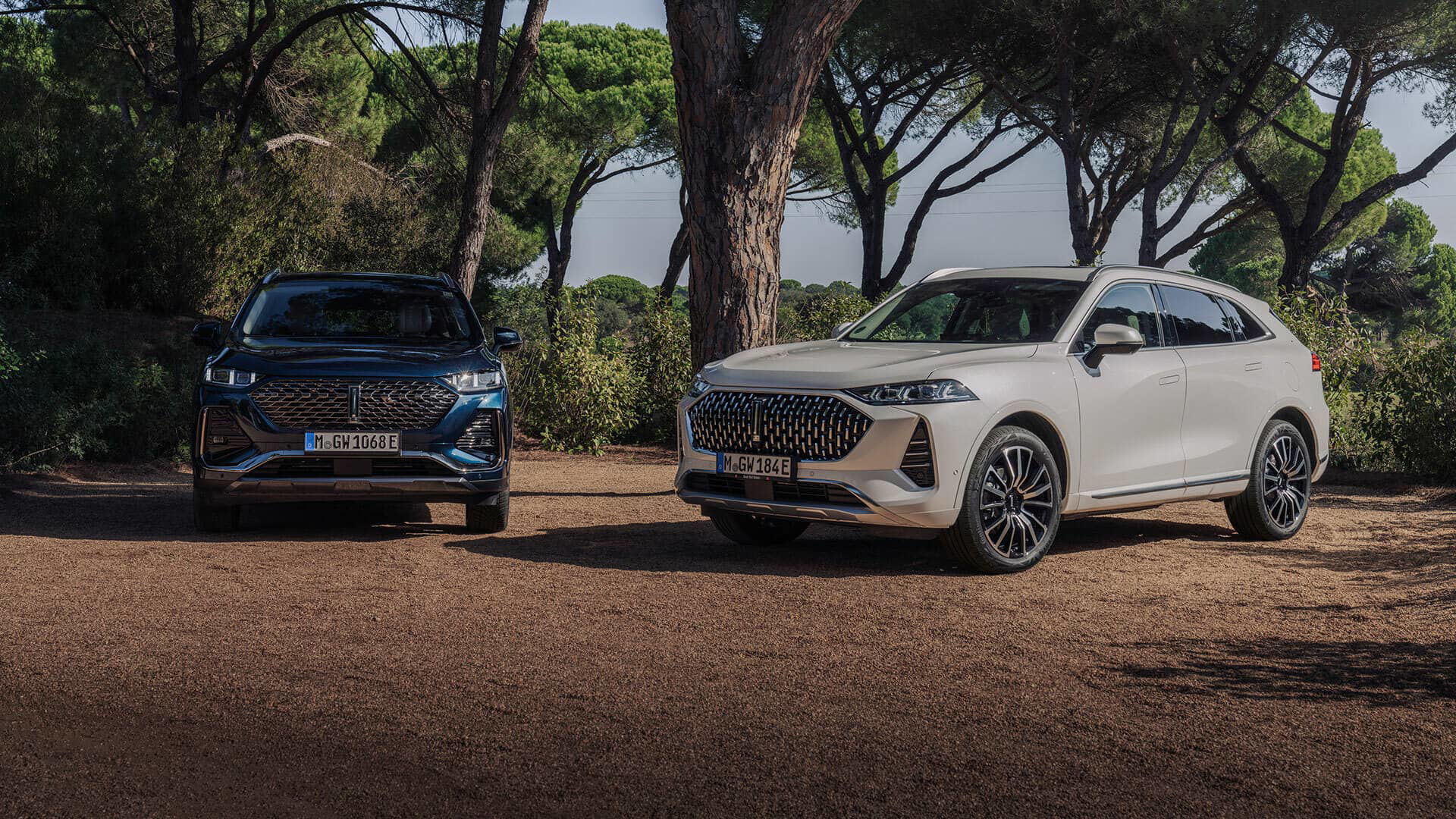 Wey Coffee 01 Blanco Exterior 26