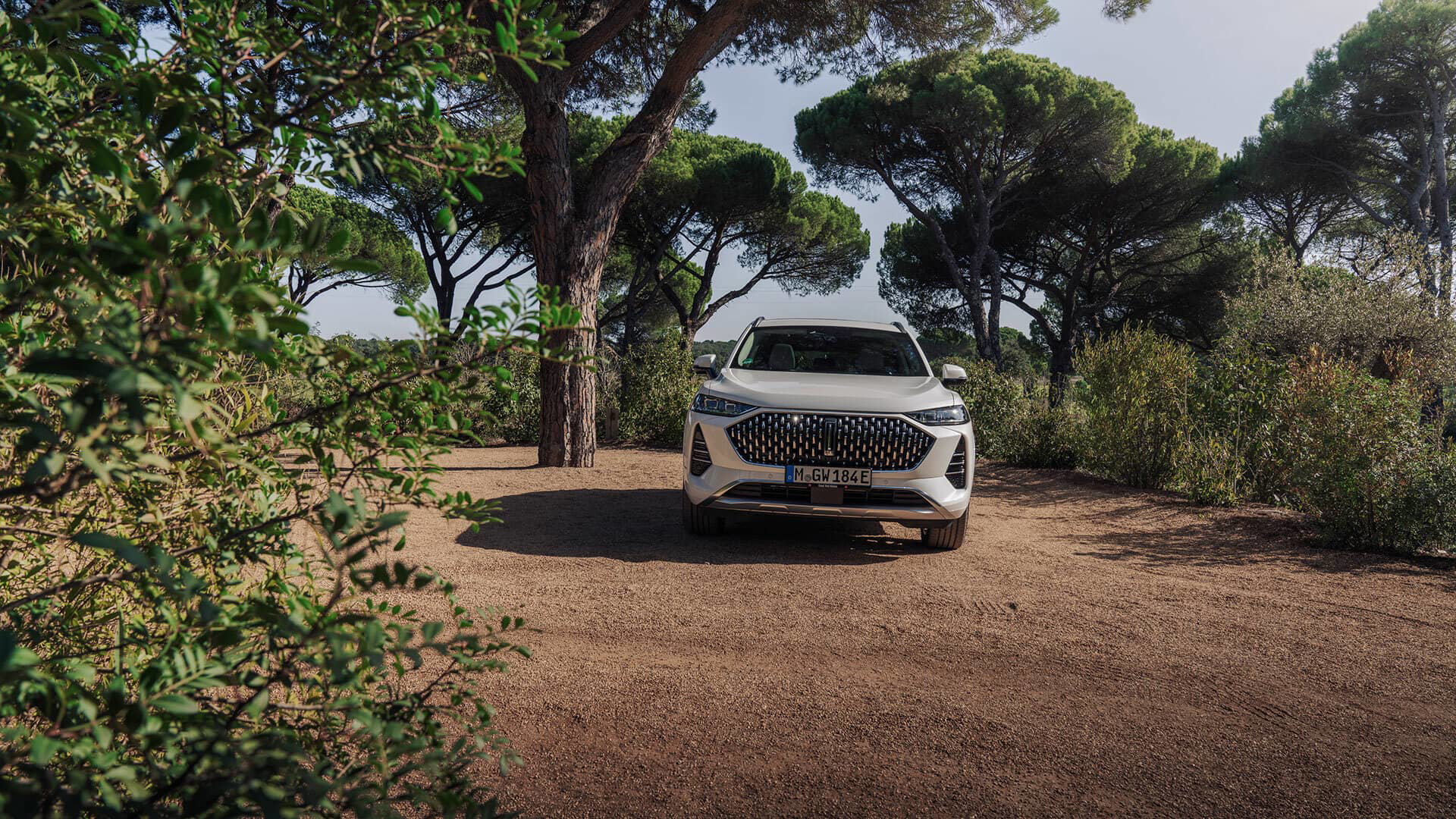 Wey Coffee 01 Blanco Exterior 28