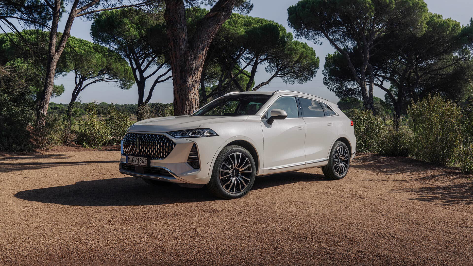 Wey Coffee 01 Blanco Exterior 30