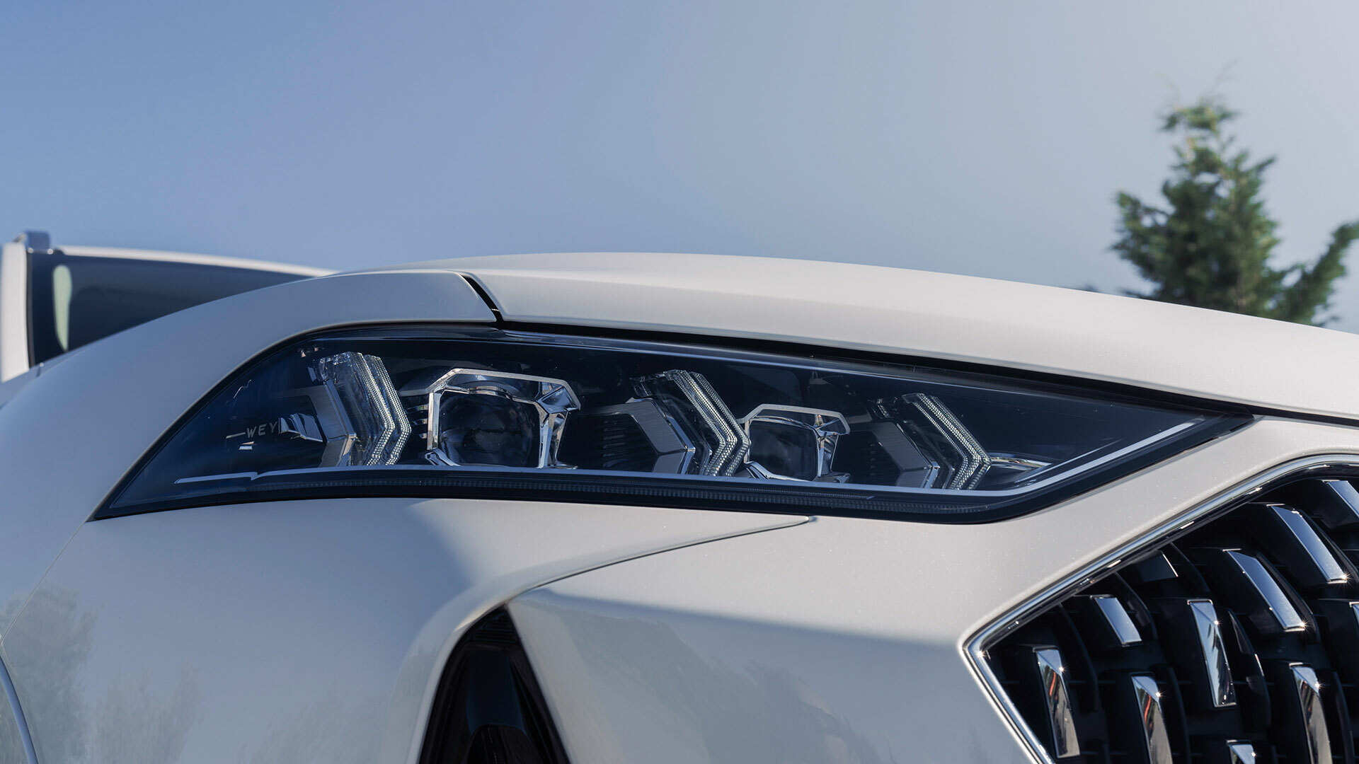 Wey Coffee 01 Detalles Blanco 05