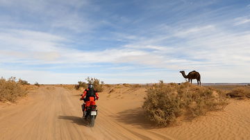 Africa Twin Camello