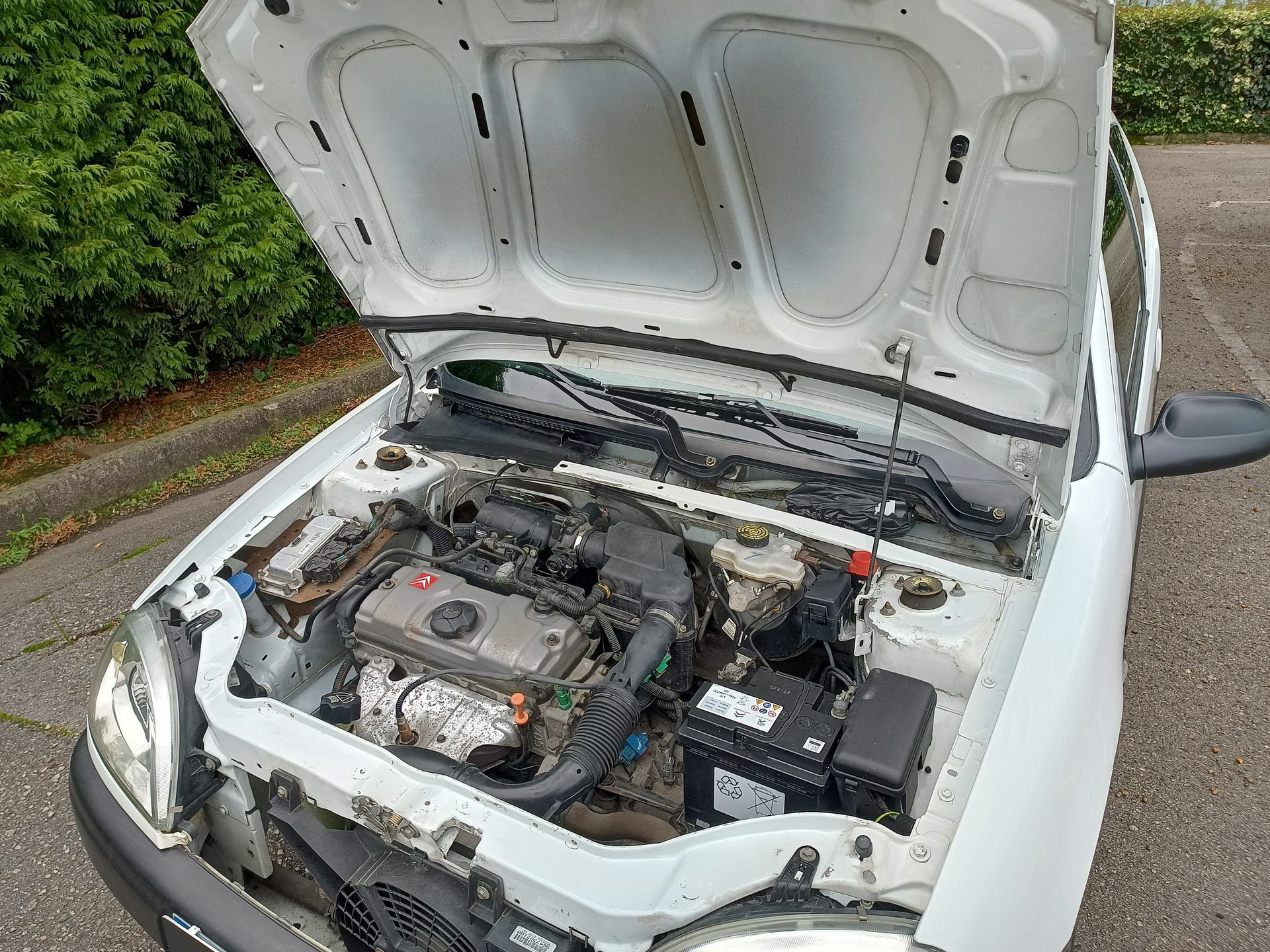 Citroen Saxo Basico 20