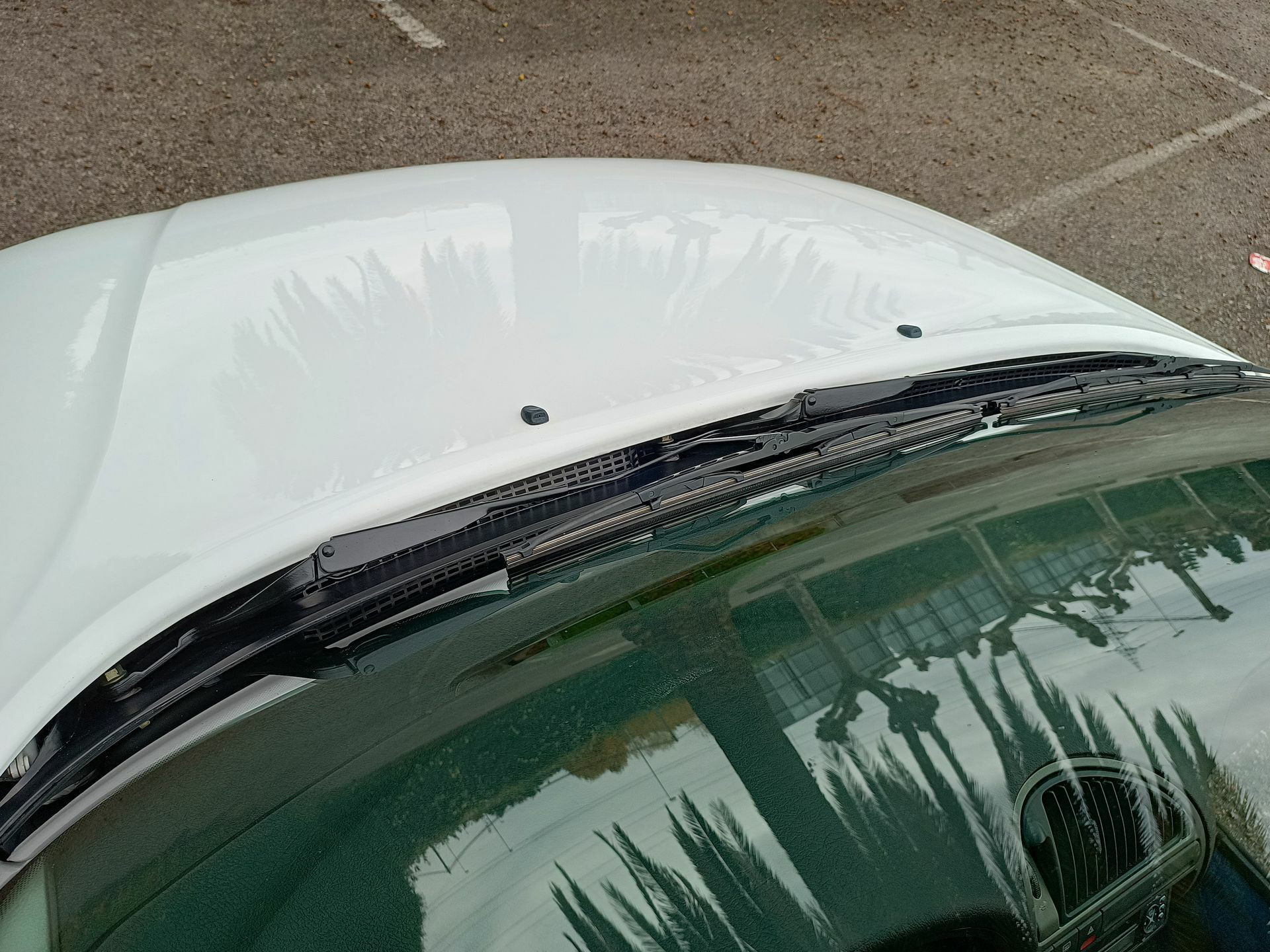 Citroen Saxo Basico 36