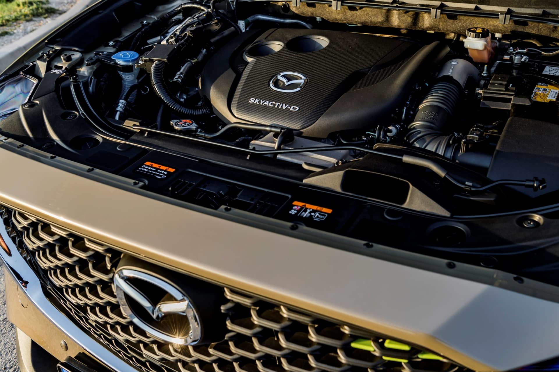 Compartir 73+ llamada revision toyota más reciente esthdonghoadian