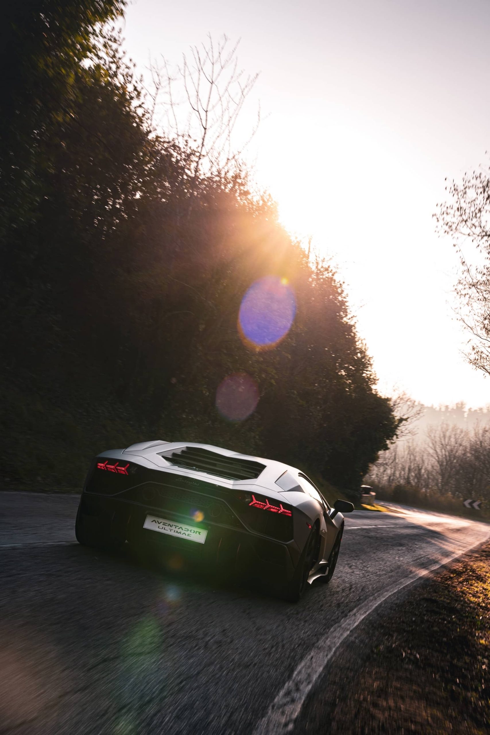 Lamborghini Evolucion Modelos V12 69