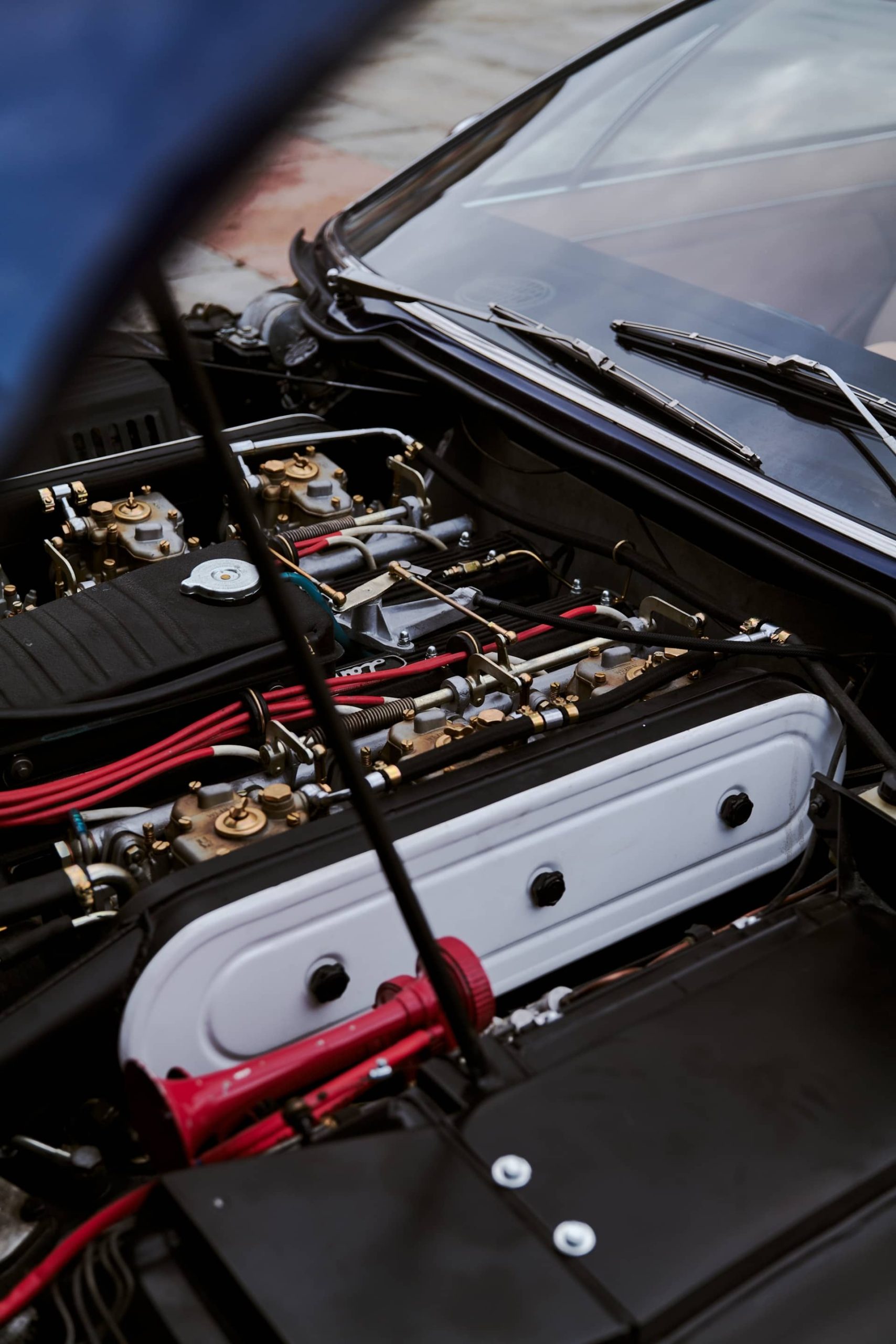 Lamborghini Evolucion Modelos V12 83