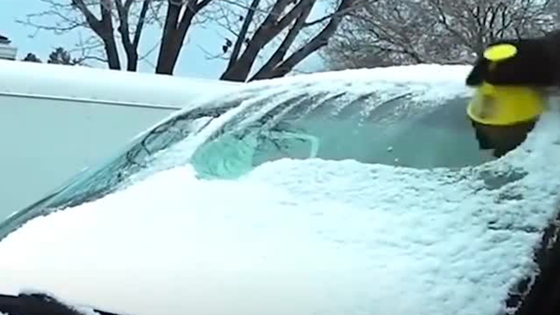 rascador hielo coche 