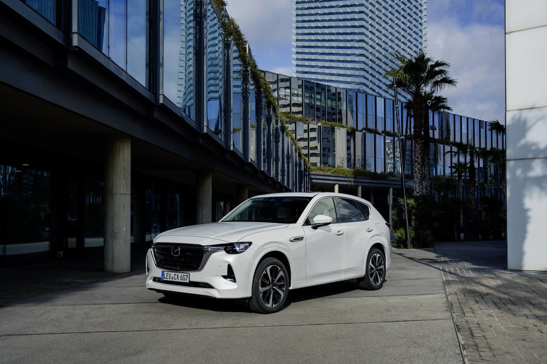 Mazda Cx 60 Diesel Mhev 31