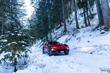 Vista lateral del Purosangue en un paisaje nevado, integración con la naturaleza.