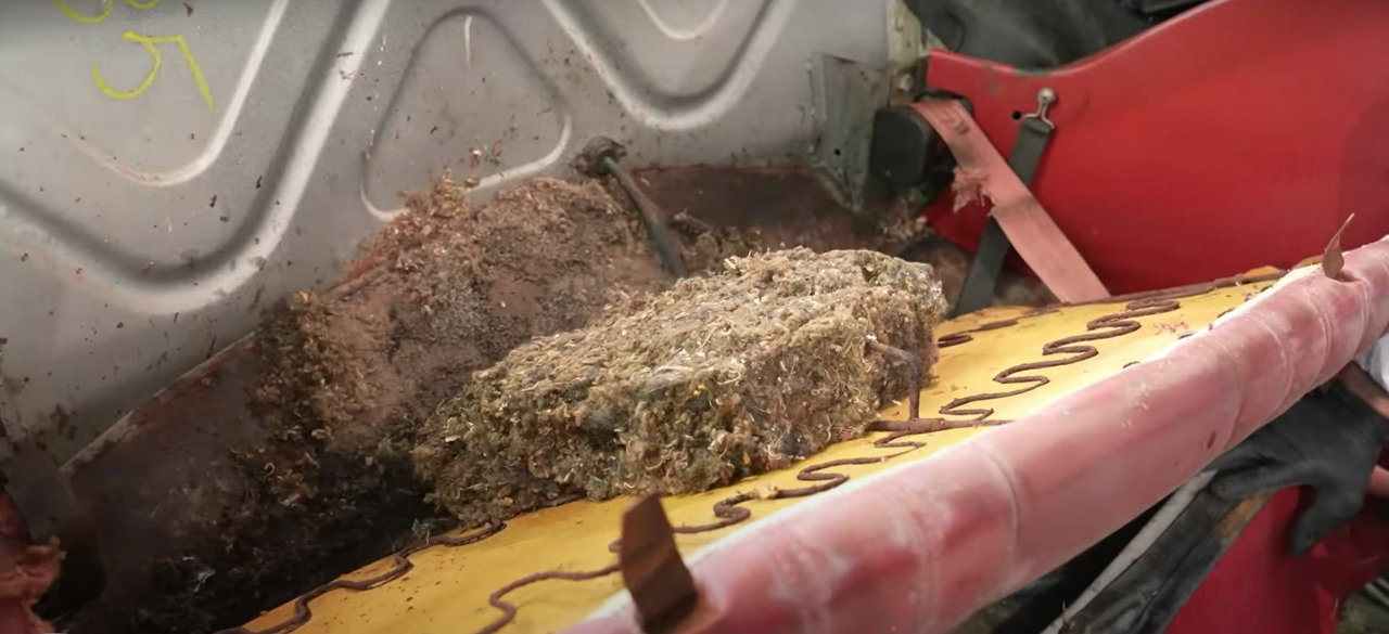 Fiat 124 Ratones Detallado Fiat 124 Ratones Detallado