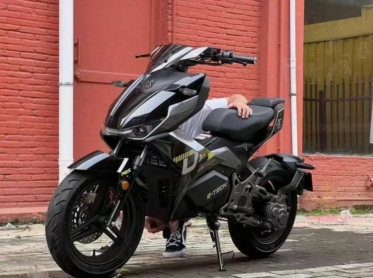 Wellta Felo10 Wellta Felo10