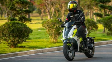 Wellta Felo19
