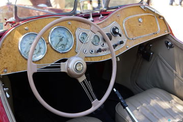 Autopia 4 