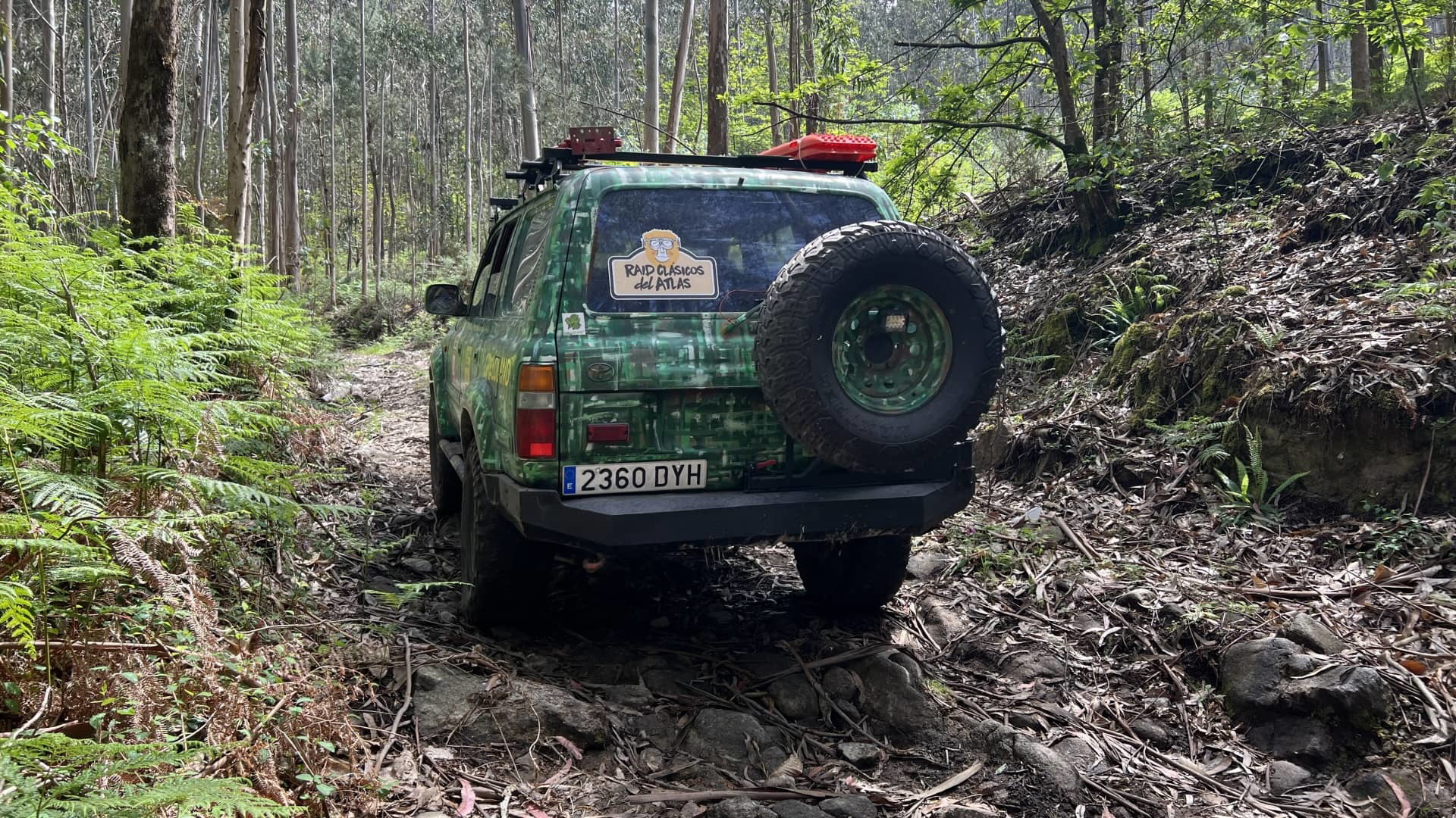 Eco Ruta Greloland 2023 28