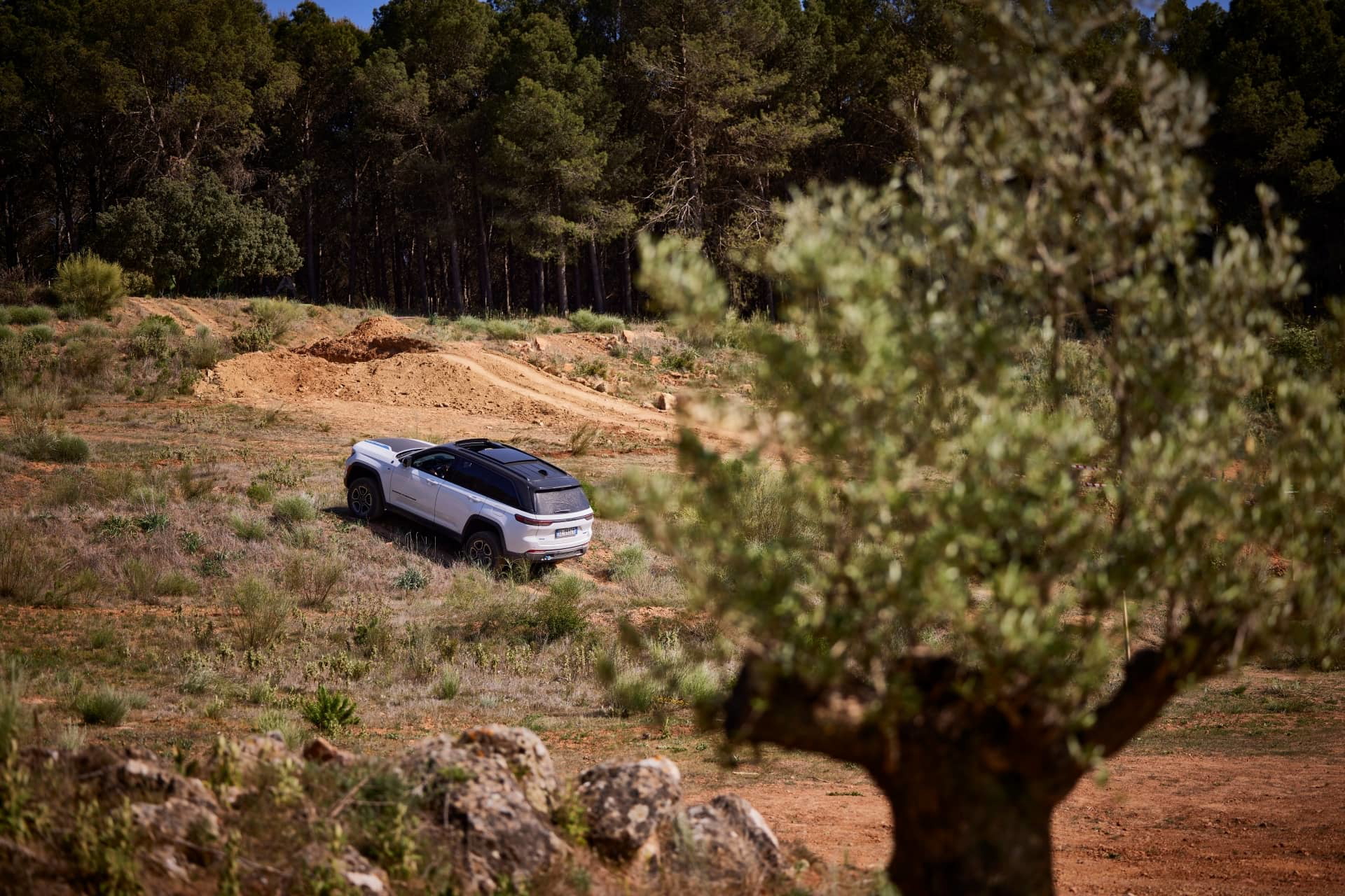 Vista lateral del Jeep Grand Cherokee en un entorno natural.