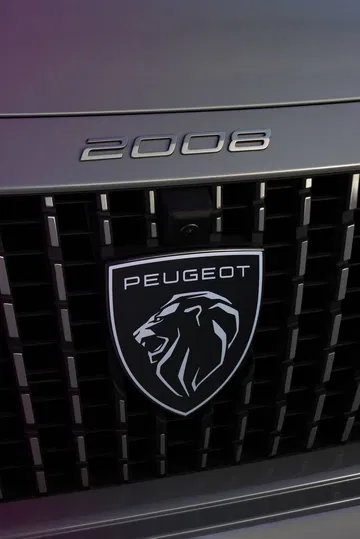 Peugeot 2008 2024 17