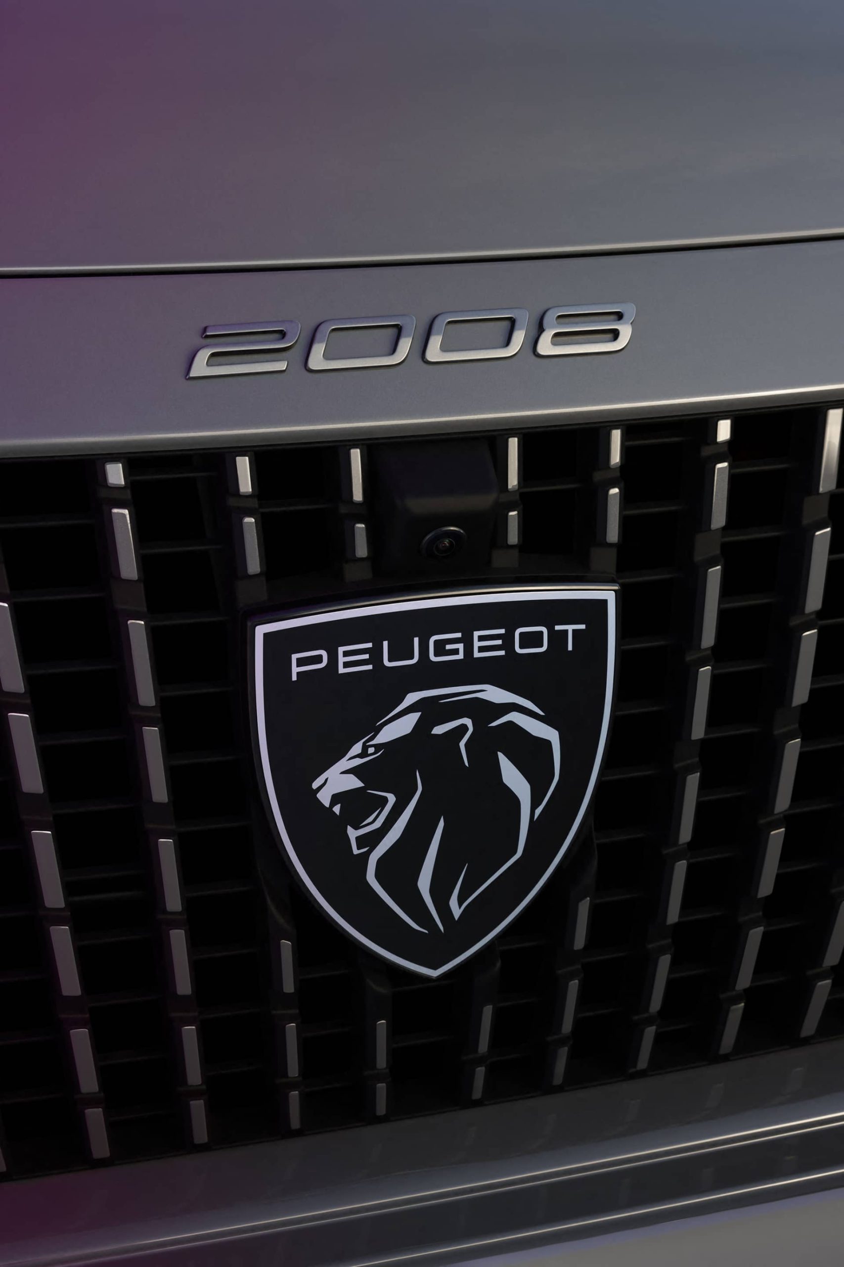 Peugeot 2008 2024 17