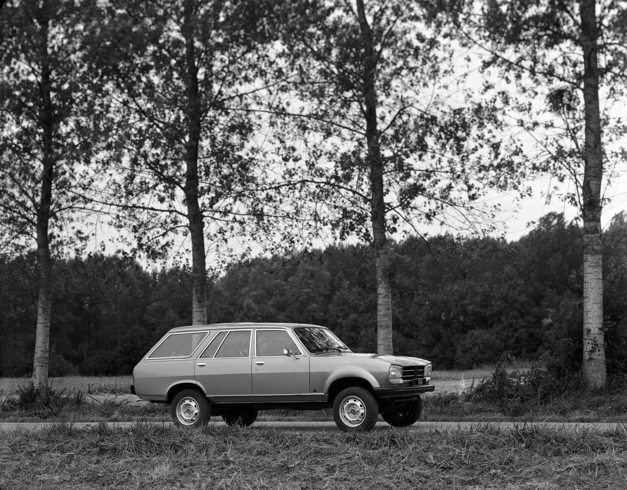 Peugeot 4x4 Dangel 04