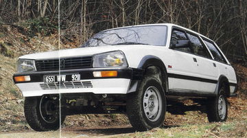 Peugeot 4x4 Dangel 07