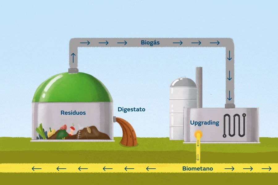 Planta De Biometano