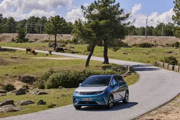 Byd Dolphin 2023 9