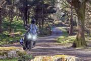 Kymco Dtx 125 2023 03 Kymco Dtx 125 2023 03