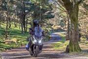 Kymco Dtx 125 29 Kymco Dtx 125 29