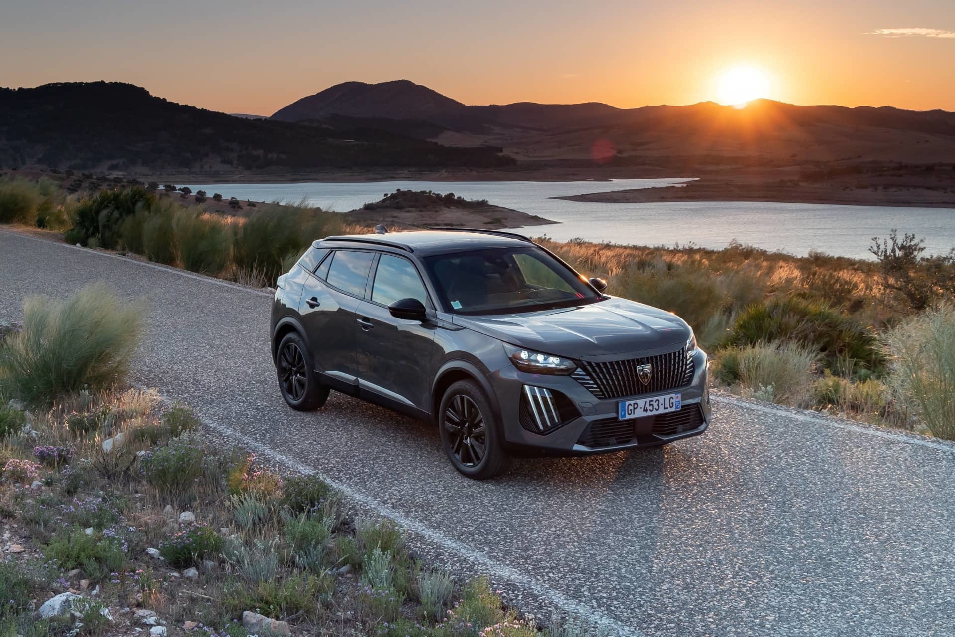 Peugeot 2008 2023 67