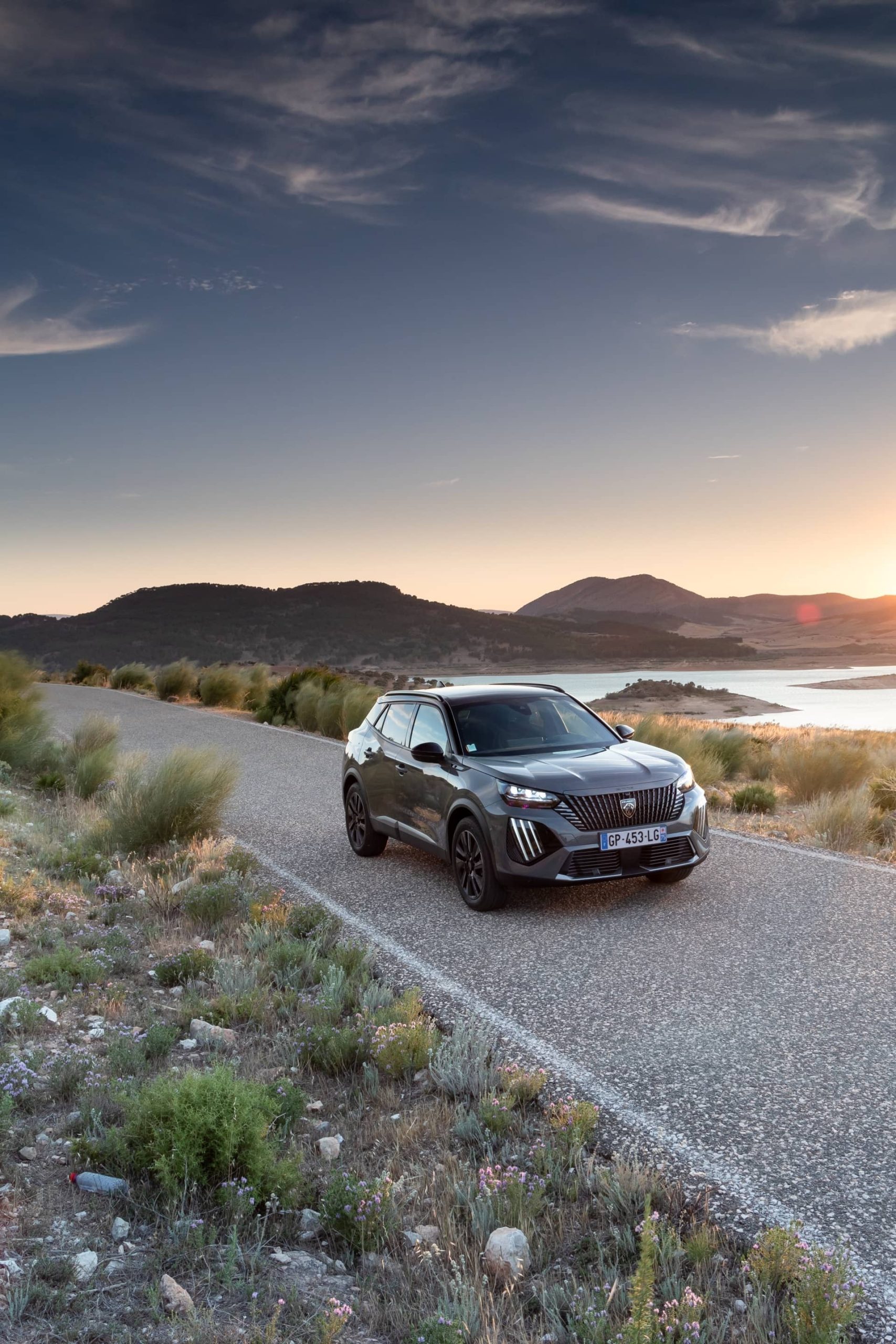 Peugeot 2008 2023 70