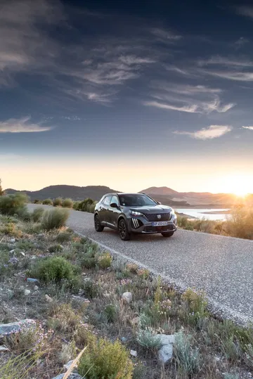 Peugeot 2008 2023 71