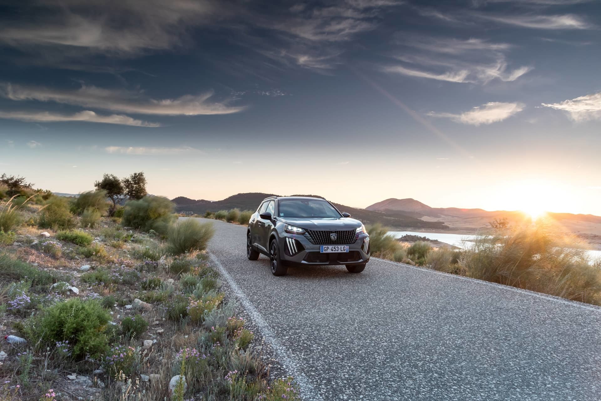 Peugeot 2008 2023 72