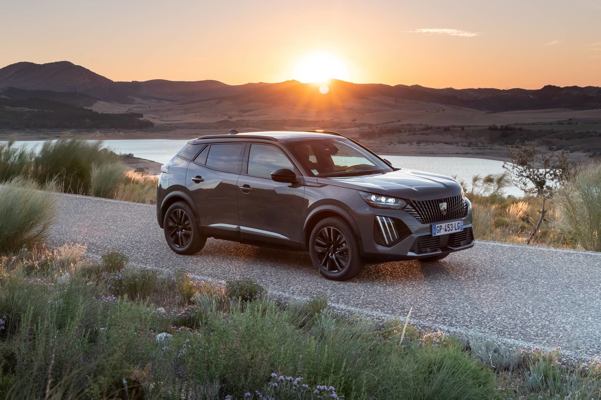 Peugeot 2008 2023 73