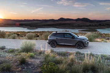 Peugeot 2008 2023 74