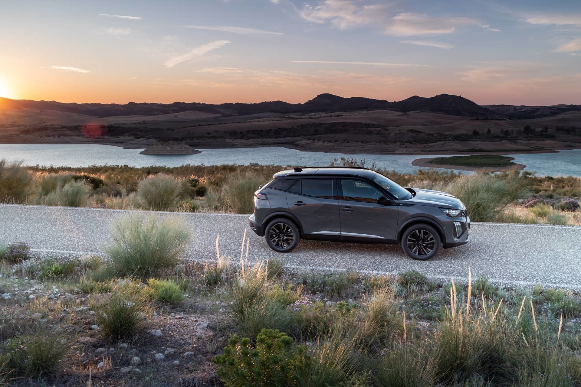 Peugeot 2008 2023 74