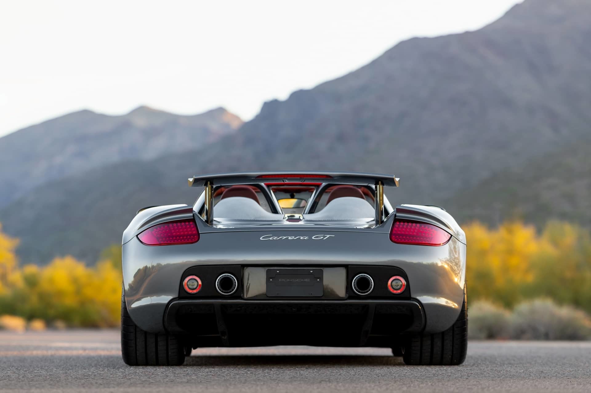 Porsche Carrera Gt 2005 31