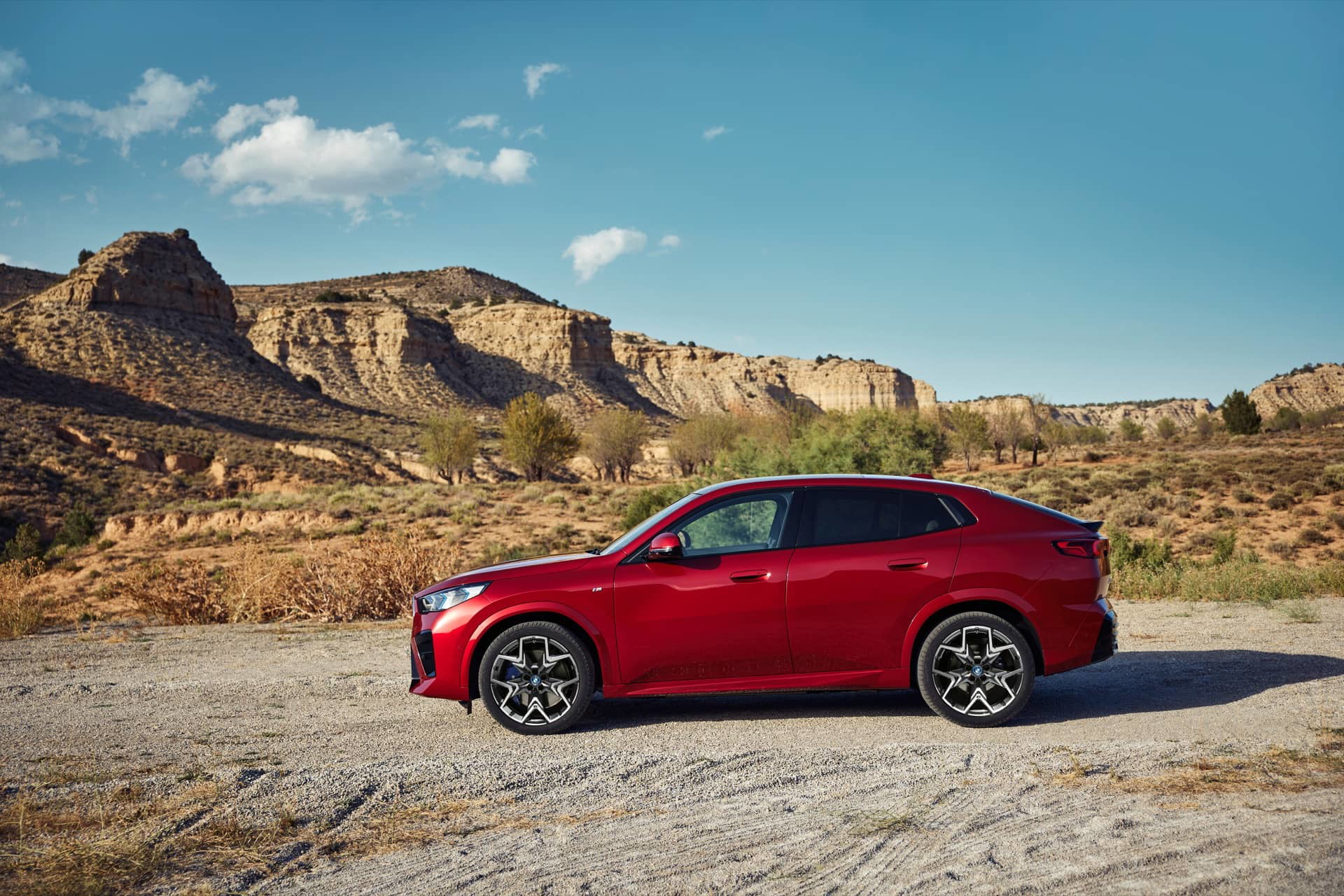 Vista lateral del BMW X2 en un entorno natural, destacando su línea de diseño.