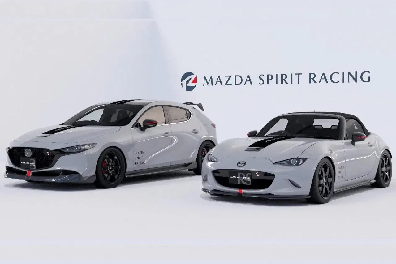 msr-portada-1280x853.webp