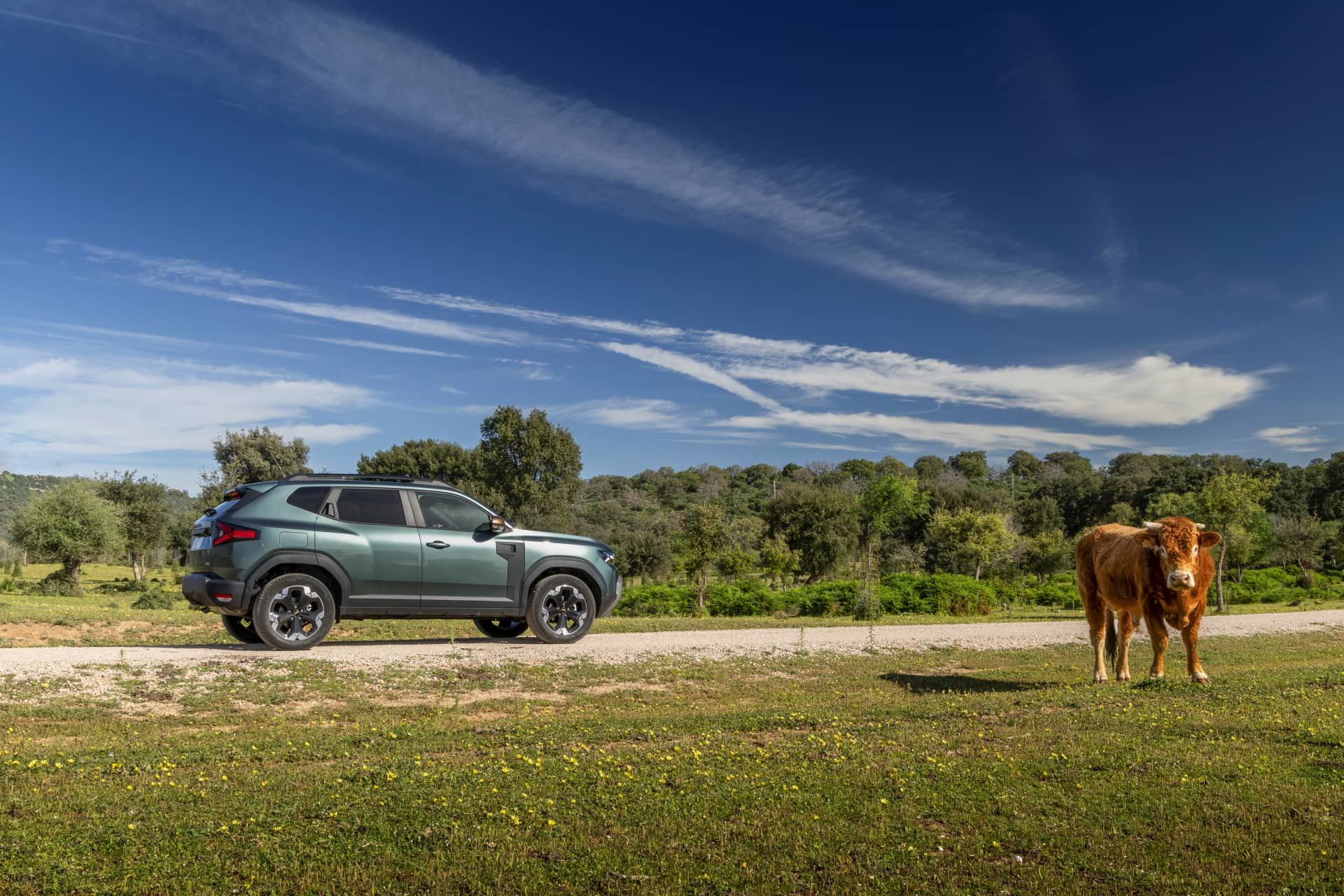 Vista lateral del Dacia Duster en un entorno natural, destacando su diseño robusto.
