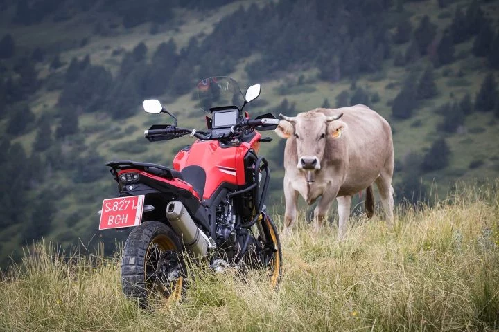 Rieju Aventura 500 en entorno natural, demostrando su capacidad off-road junto a fauna local.
