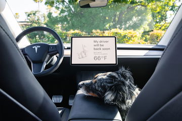 Vista de la cabina del Tesla Model Y 2024 mostrando volante y pantalla central.